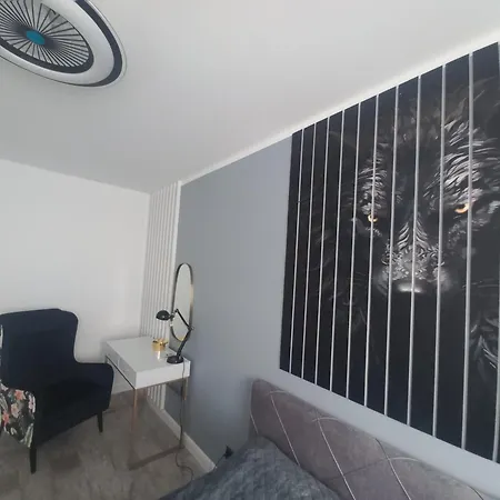 Apartament Ustrzyki Dolne 