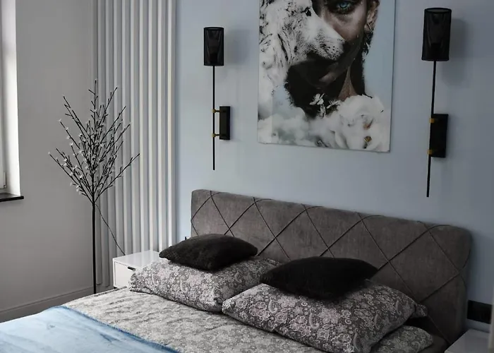 Apartament Ustrzyki Dolne \